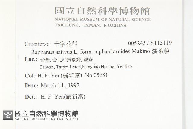 濱萊菔藏品圖，第2張