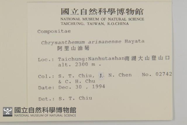 阿里山油菊藏品圖，第2張