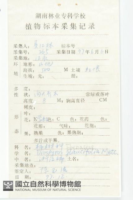 浙江柿藏品圖，第2張