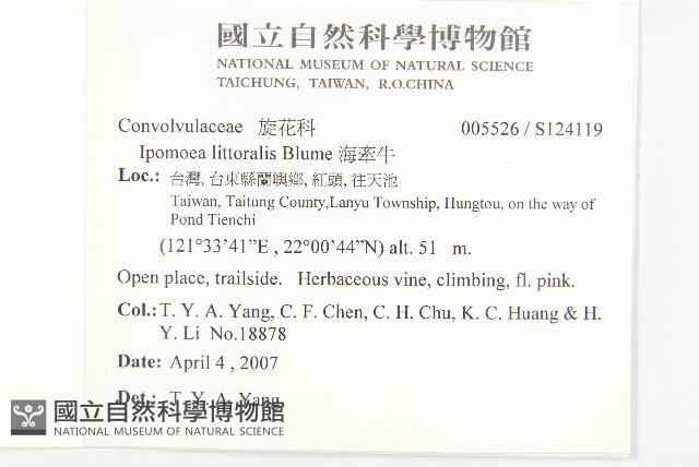 海牽牛藏品圖，第2張