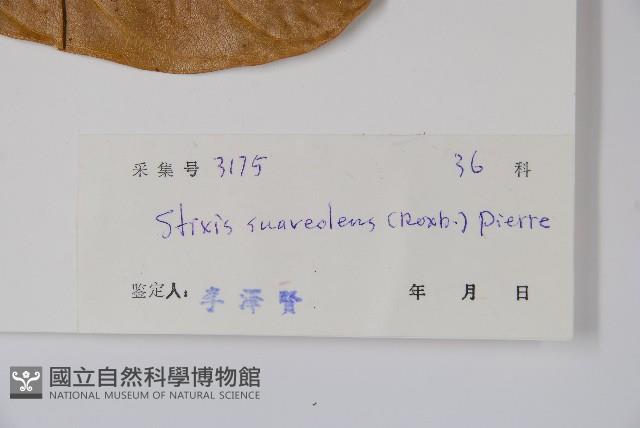 六萼藤藏品圖，第2張