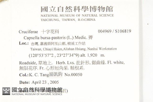 薺藏品圖，第2張