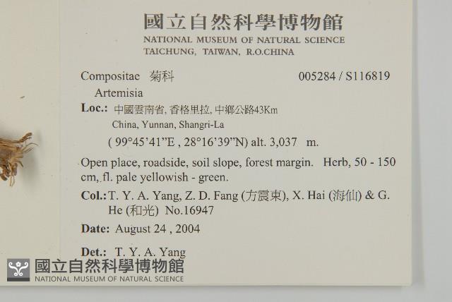 登錄號:S116819藏品圖，第2張