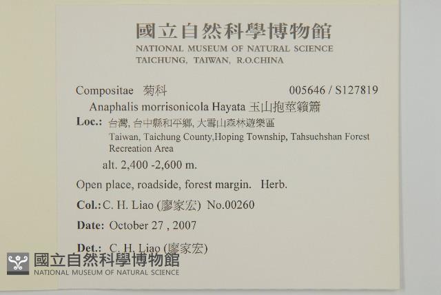 玉山抱莖籟簫藏品圖，第2張