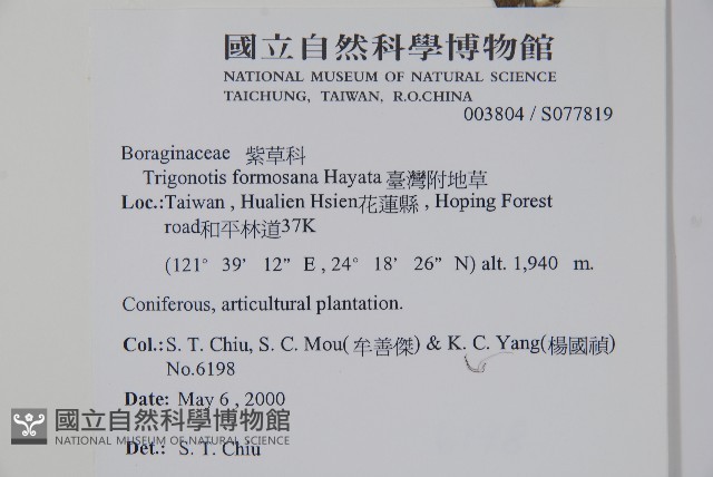 臺灣附地草藏品圖，第2張