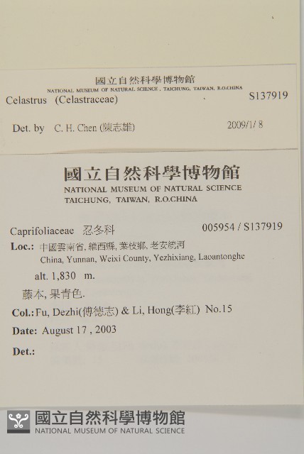 登錄號:S137919藏品圖，第2張