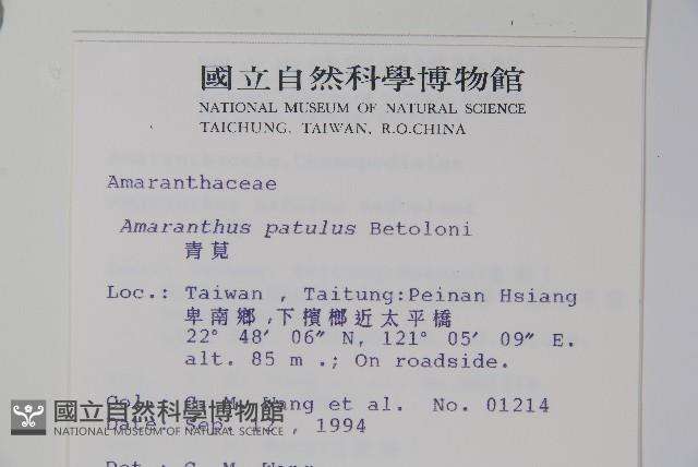 青莧藏品圖，第2張