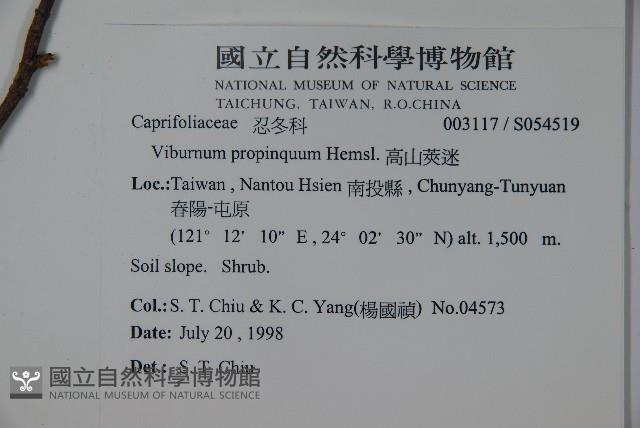 高山莢迷藏品圖，第2張