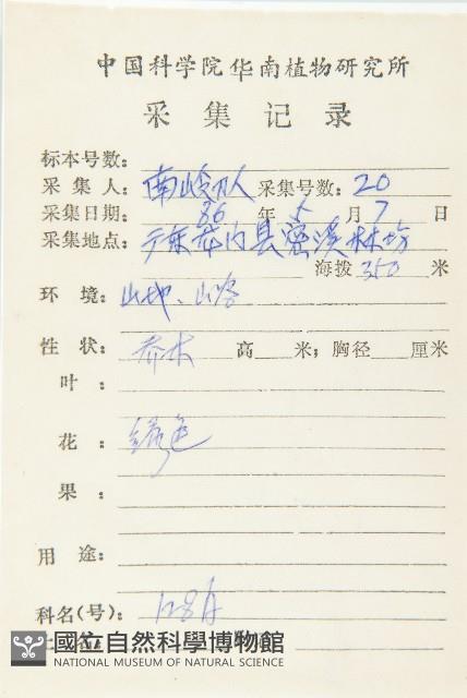 華杜英藏品圖，第2張