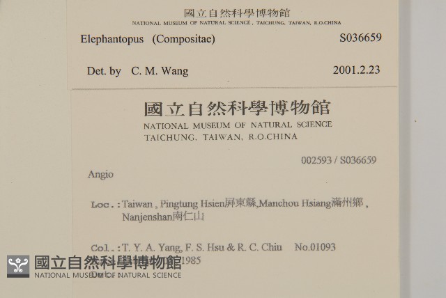 登錄號:S036659藏品圖，第2張