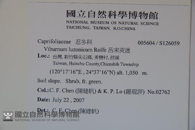 呂宋莢迷藏品圖，第2張