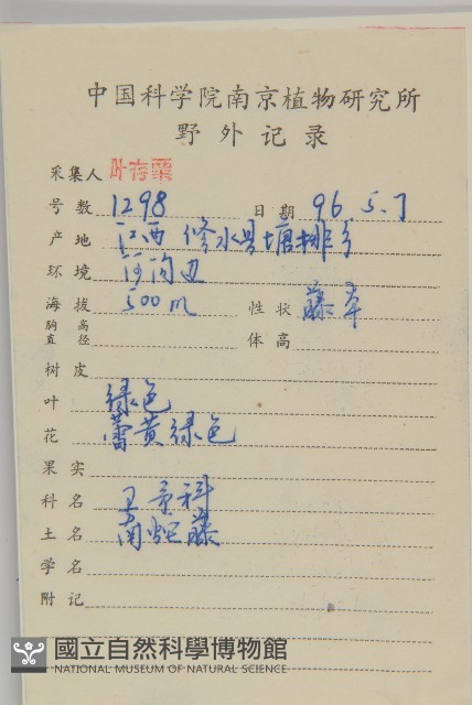 顯柱南蛇藤藏品圖，第2張