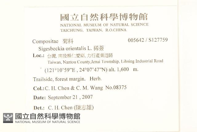 豨薟藏品圖，第2張