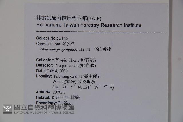 高山莢迷藏品圖，第2張