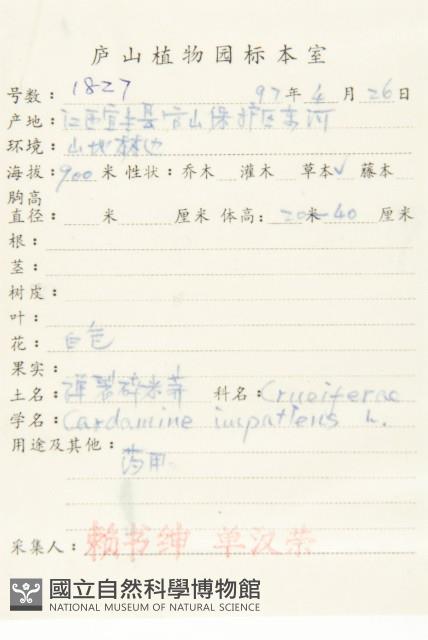 水花菜藏品圖，第2張