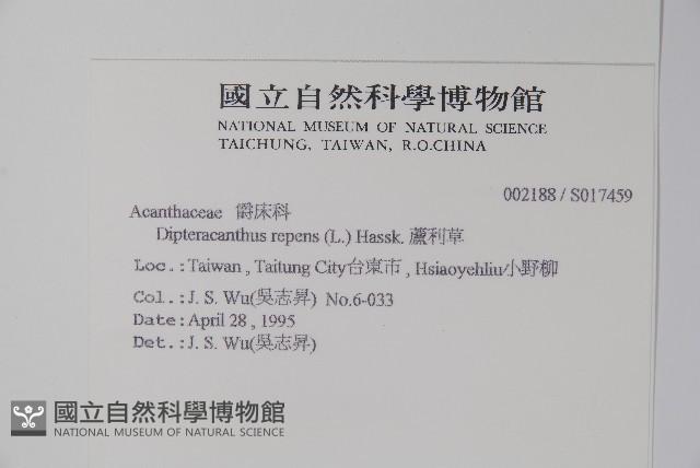 蘆利草藏品圖，第2張