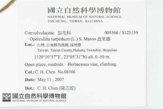 盒果藤藏品圖，第2張