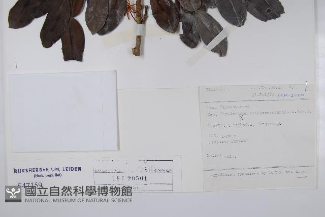 登錄號:S047159藏品圖，第2張