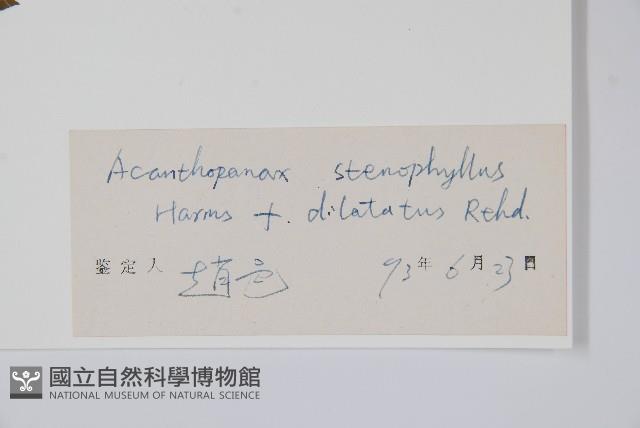 太白山五加藏品圖，第2張