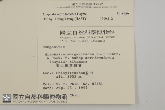 玉山抱莖籟簫藏品圖，第2張