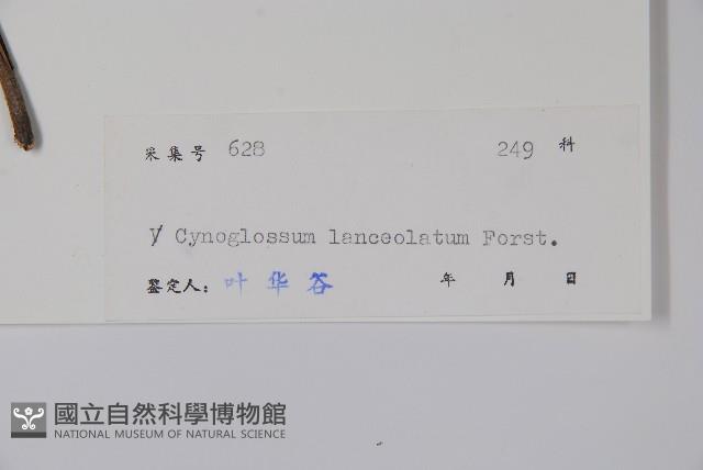 小花倒提壺藏品圖，第2張