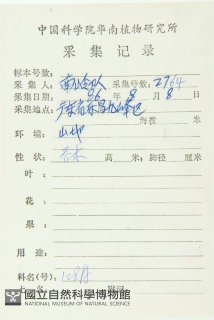 薯豆藏品圖，第2張