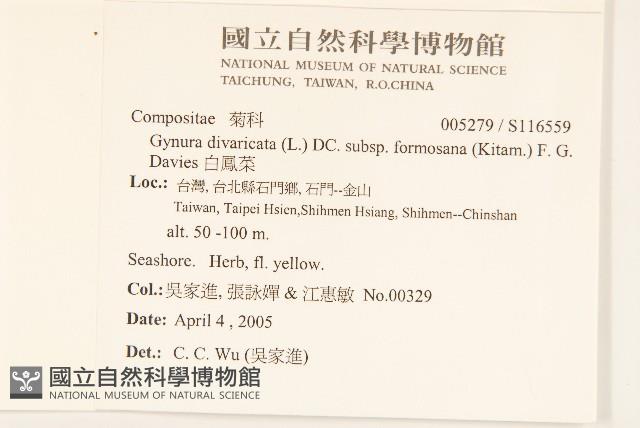 白鳳菜藏品圖，第2張