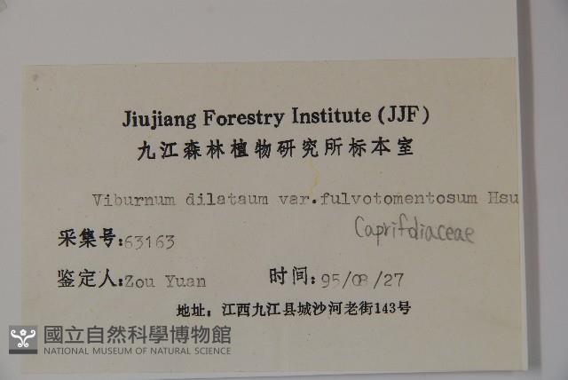 廬山莢迷藏品圖，第2張