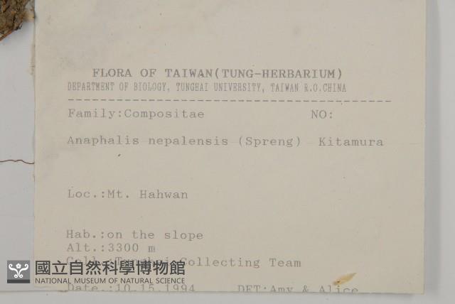 尼泊爾籟簫藏品圖，第2張