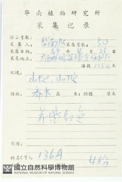 俄氏虎皮楠、蘭嶼虎皮楠、虎皮楠藏品圖，第2張