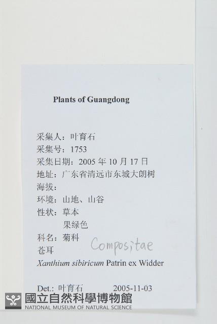 蒼耳藏品圖，第2張