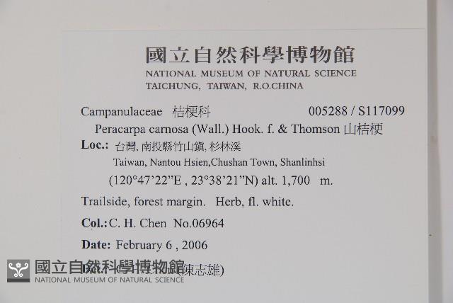 山桔梗藏品圖，第2張