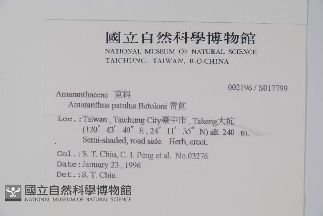 青莧藏品圖，第2張