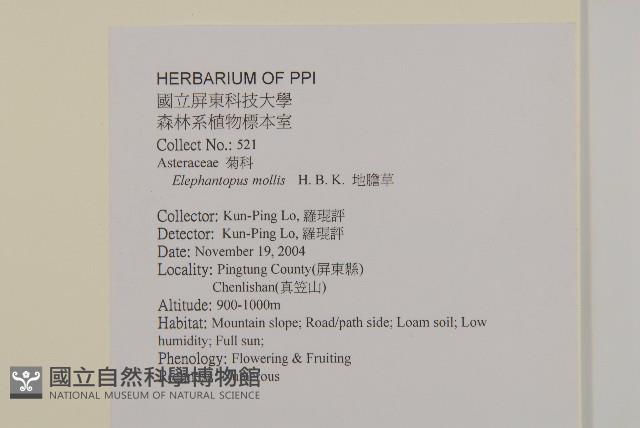 地膽草、毛蓮菜藏品圖，第2張