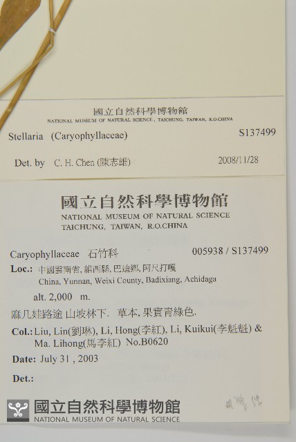 登錄號:S137499藏品圖，第2張