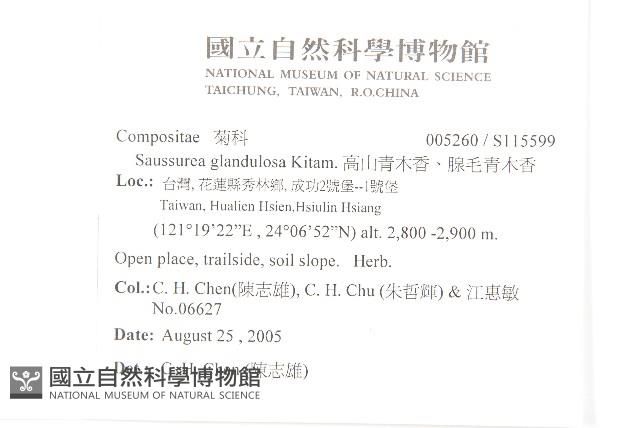 高山青木香、腺毛青木香藏品圖，第2張