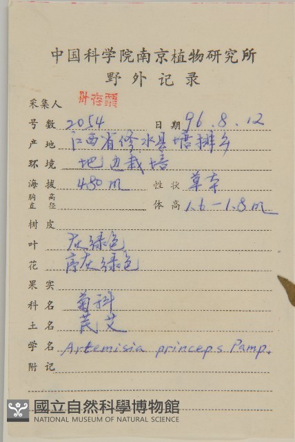 魁蒿藏品圖，第2張