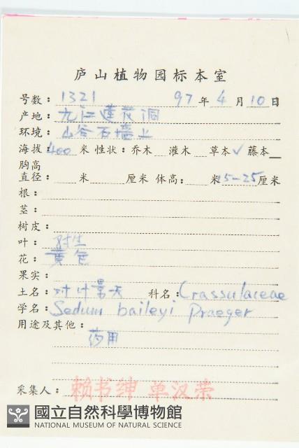 對葉景天藏品圖，第2張