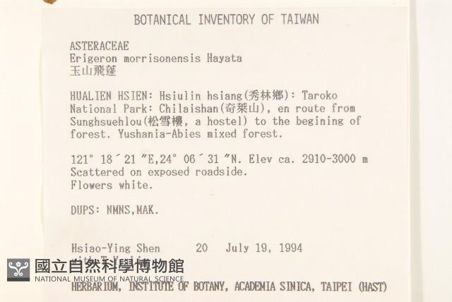 玉山飛蓬藏品圖，第2張