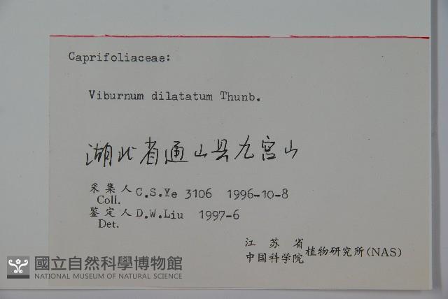 莢迷藏品圖，第2張