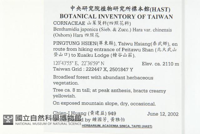 四照花藏品圖，第2張