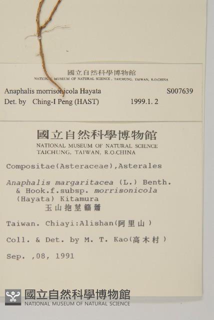 玉山抱莖籟簫藏品圖，第2張