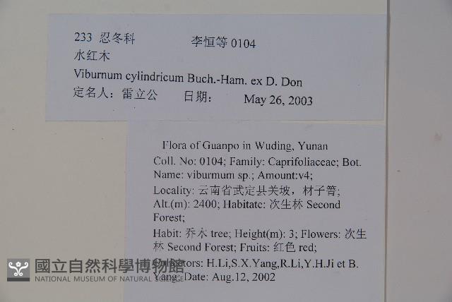 水紅木藏品圖，第2張