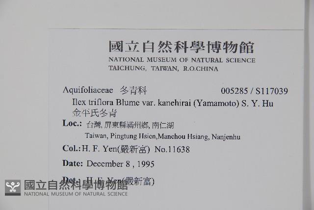 金平氏冬青藏品圖，第2張