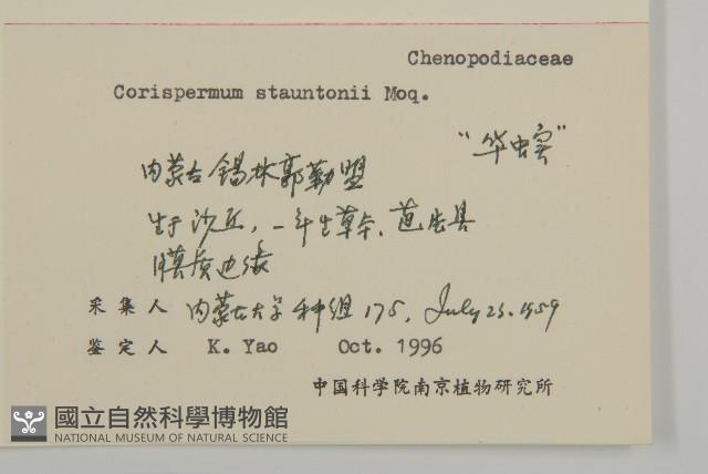 華蟲實藏品圖，第2張