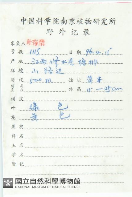 葶藶藏品圖，第2張