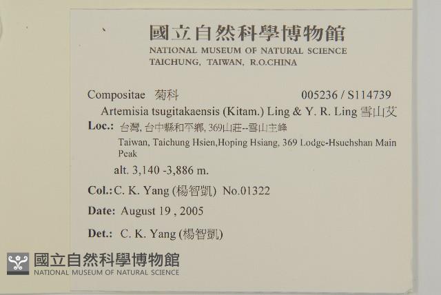 雪山艾藏品圖，第2張