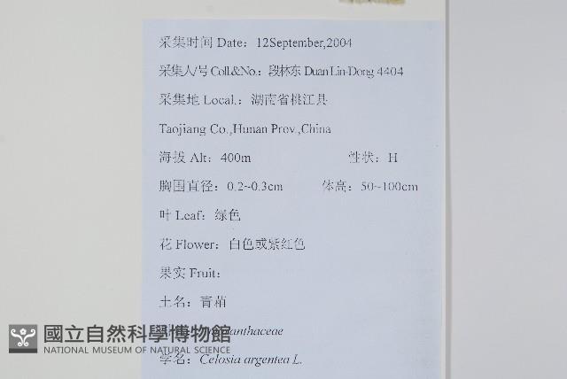 青葙藏品圖，第2張