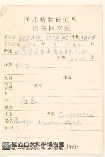 兩色菊藏品圖，第2張