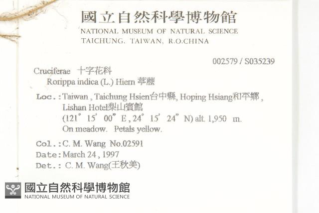 葶藶藏品圖，第2張